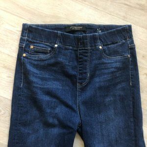 Liverpool Los Angeles the High Rise Ankle Jegging Size 6/28